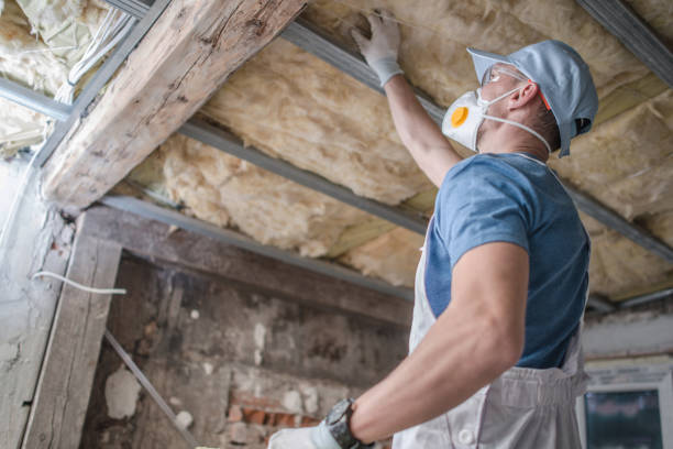 Best Insulation Inspection Services  in Flint, MI