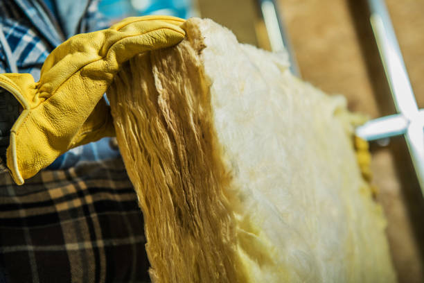 Best Insulation Contractors for Homes  in Flint, MI