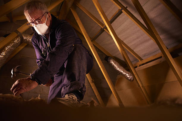 Best Energy-efficient Insulation  in Flint, MI